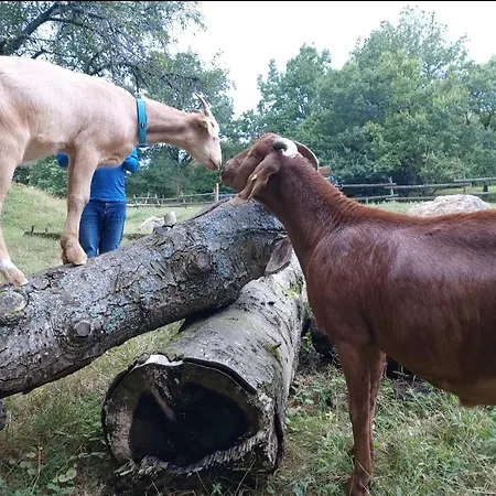 Sometimes Gehaichnishof 7born * 马林诺维德