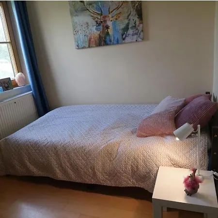 住宿加早餐酒店 Sometimes Gehaichnishof 7born 马林诺维德