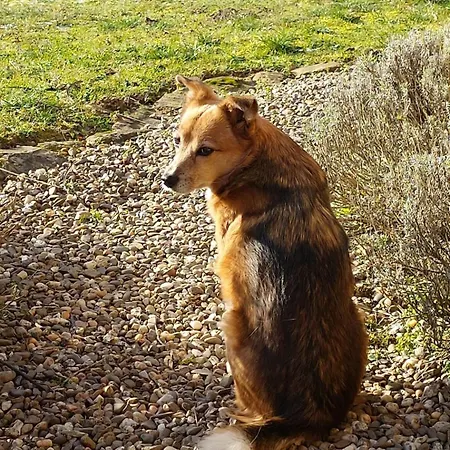 Sometimes Gehaichnishof 7born 马林诺维德