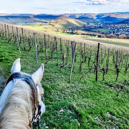 Sometimes Gehaichnishof 7born