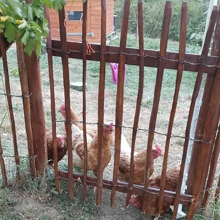 住宿加早餐酒店 Sometimes Gehaichnishof 7born 马林诺维德