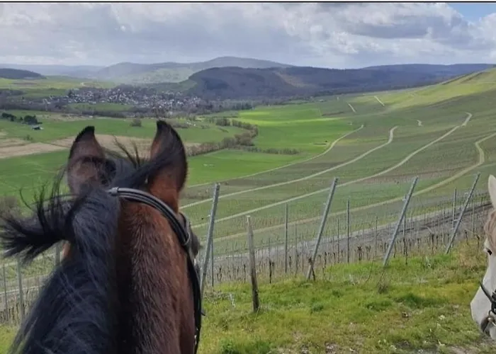 לינה וארוחת בוקר Sometimes Gehaichnishof 7born *