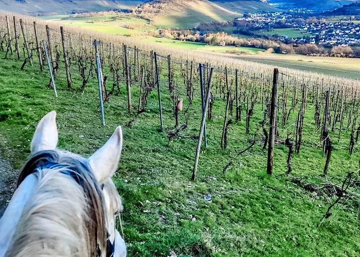 Sometimes Gehaichnishof 7born