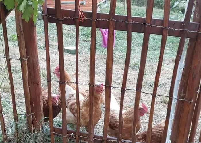 לינה וארוחת בוקר Sometimes Gehaichnishof 7born Maring-Noviand